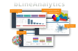 BLINE ANALYTICS DEDICATED TEAM